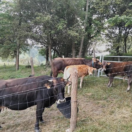 ديبا Agroturismo Erlete Goikoa -Estamos En El Camino De Santiago -We Are On The Camino De Santiago المظهر الخارجي الصورة