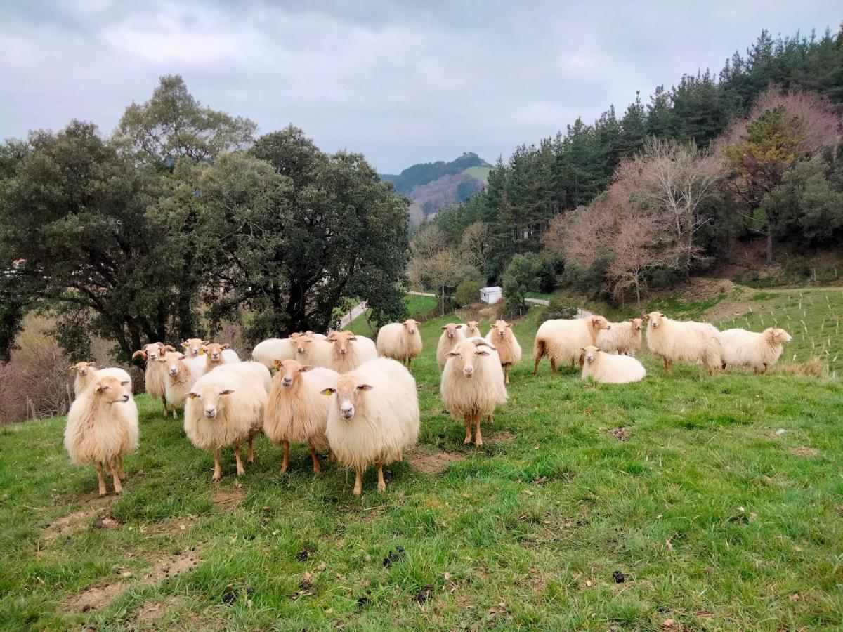 ديبا Agroturismo Erlete Goikoa -Estamos En El Camino De Santiago -We Are On The Camino De Santiago المظهر الخارجي الصورة