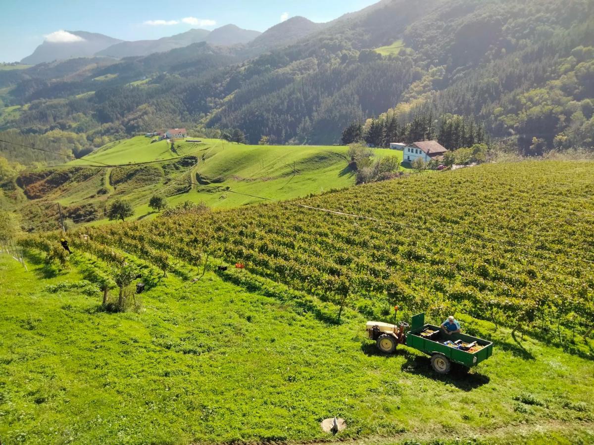 ديبا Agroturismo Erlete Goikoa -Estamos En El Camino De Santiago -We Are On The Camino De Santiago المظهر الخارجي الصورة