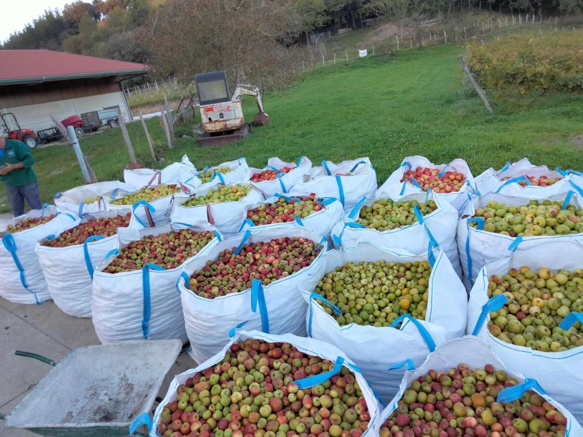 ديبا Agroturismo Erlete Goikoa -Estamos En El Camino De Santiago -We Are On The Camino De Santiago المظهر الخارجي الصورة