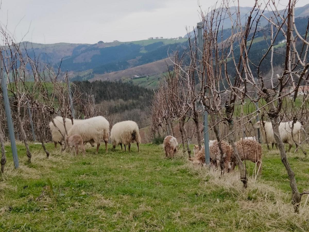 ديبا Agroturismo Erlete Goikoa -Estamos En El Camino De Santiago -We Are On The Camino De Santiago المظهر الخارجي الصورة