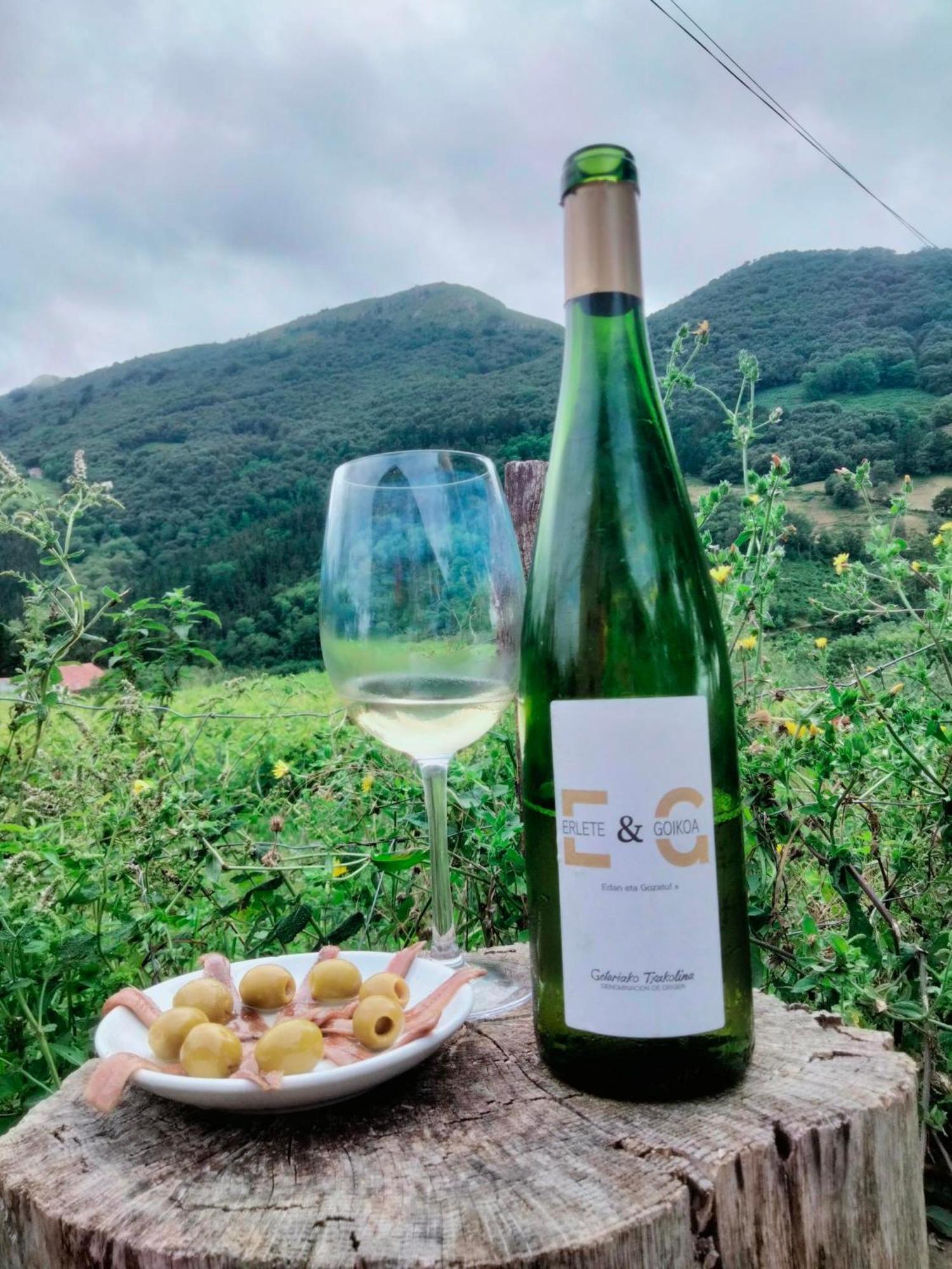 ديبا Agroturismo Erlete Goikoa -Estamos En El Camino De Santiago -We Are On The Camino De Santiago المظهر الخارجي الصورة