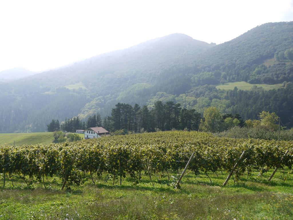 ديبا Agroturismo Erlete Goikoa -Estamos En El Camino De Santiago -We Are On The Camino De Santiago المظهر الخارجي الصورة