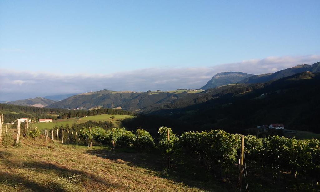 ديبا Agroturismo Erlete Goikoa -Estamos En El Camino De Santiago -We Are On The Camino De Santiago المظهر الخارجي الصورة