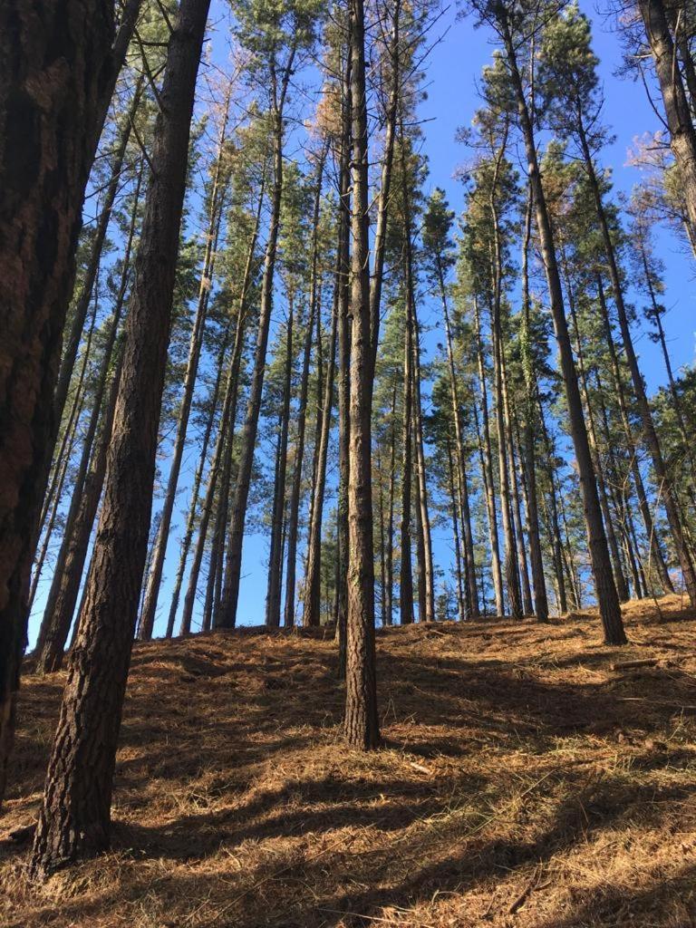 ديبا Agroturismo Erlete Goikoa -Estamos En El Camino De Santiago -We Are On The Camino De Santiago المظهر الخارجي الصورة