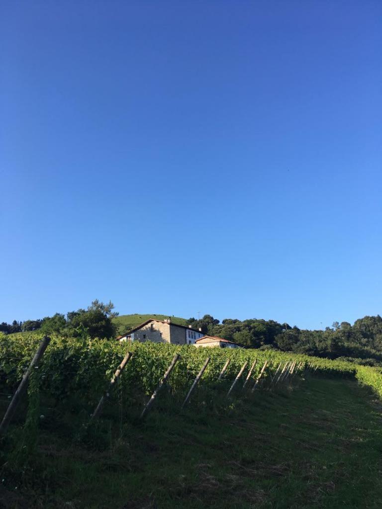 ديبا Agroturismo Erlete Goikoa -Estamos En El Camino De Santiago -We Are On The Camino De Santiago المظهر الخارجي الصورة