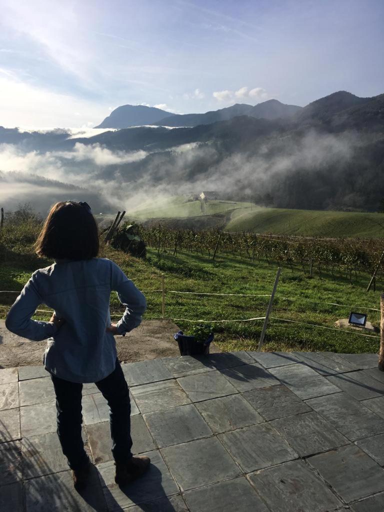 ديبا Agroturismo Erlete Goikoa -Estamos En El Camino De Santiago -We Are On The Camino De Santiago المظهر الخارجي الصورة