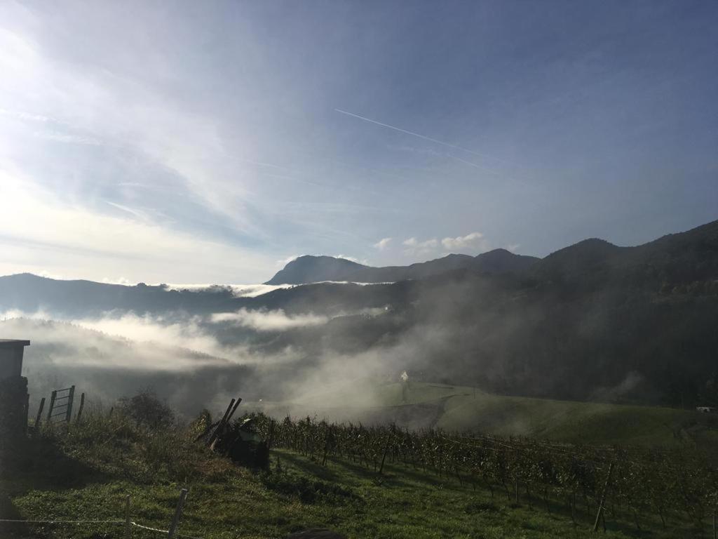 ديبا Agroturismo Erlete Goikoa -Estamos En El Camino De Santiago -We Are On The Camino De Santiago المظهر الخارجي الصورة