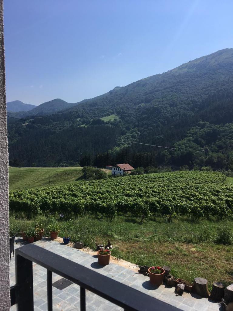 ديبا Agroturismo Erlete Goikoa -Estamos En El Camino De Santiago -We Are On The Camino De Santiago المظهر الخارجي الصورة