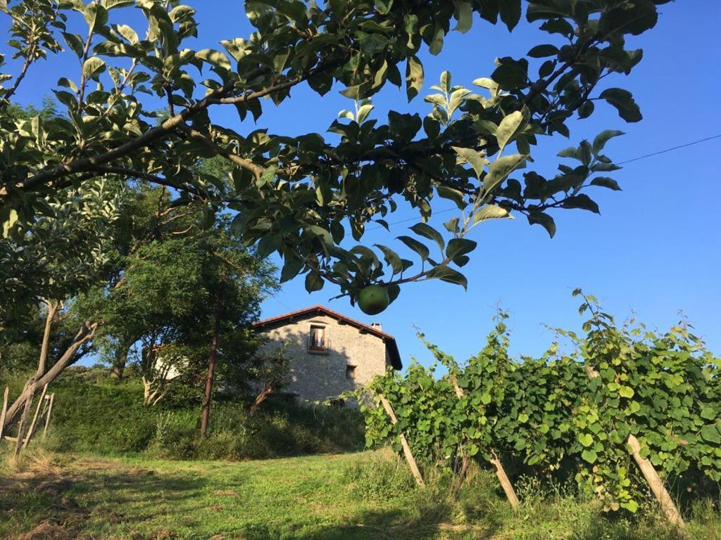 ديبا Agroturismo Erlete Goikoa -Estamos En El Camino De Santiago -We Are On The Camino De Santiago المظهر الخارجي الصورة